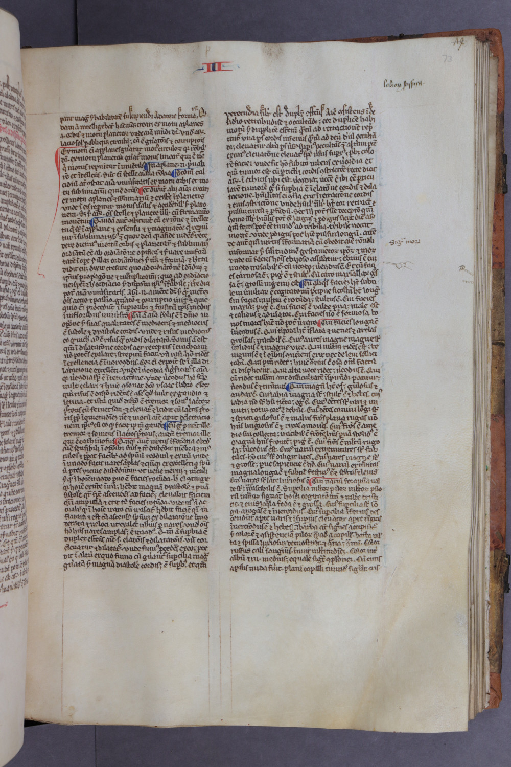 Folio 73 recto